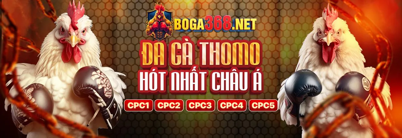 Hình ảnh đại diện Điều khoản Dịch vụ VN88 Bắn Cá 2026